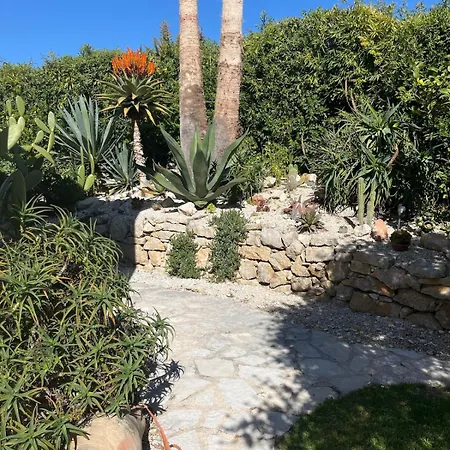 D' Avec Piscine Dans *