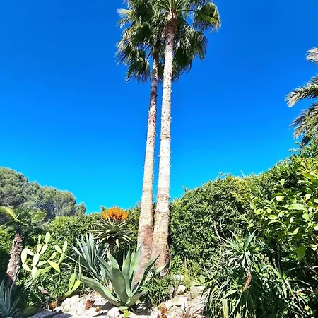 D' Avec Piscine Dans Antibes